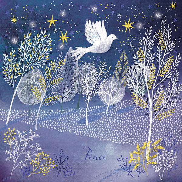 Peaceful Night 2025